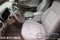 2023 Chevrolet Malibu 4dr Sdn LS w/1FL
