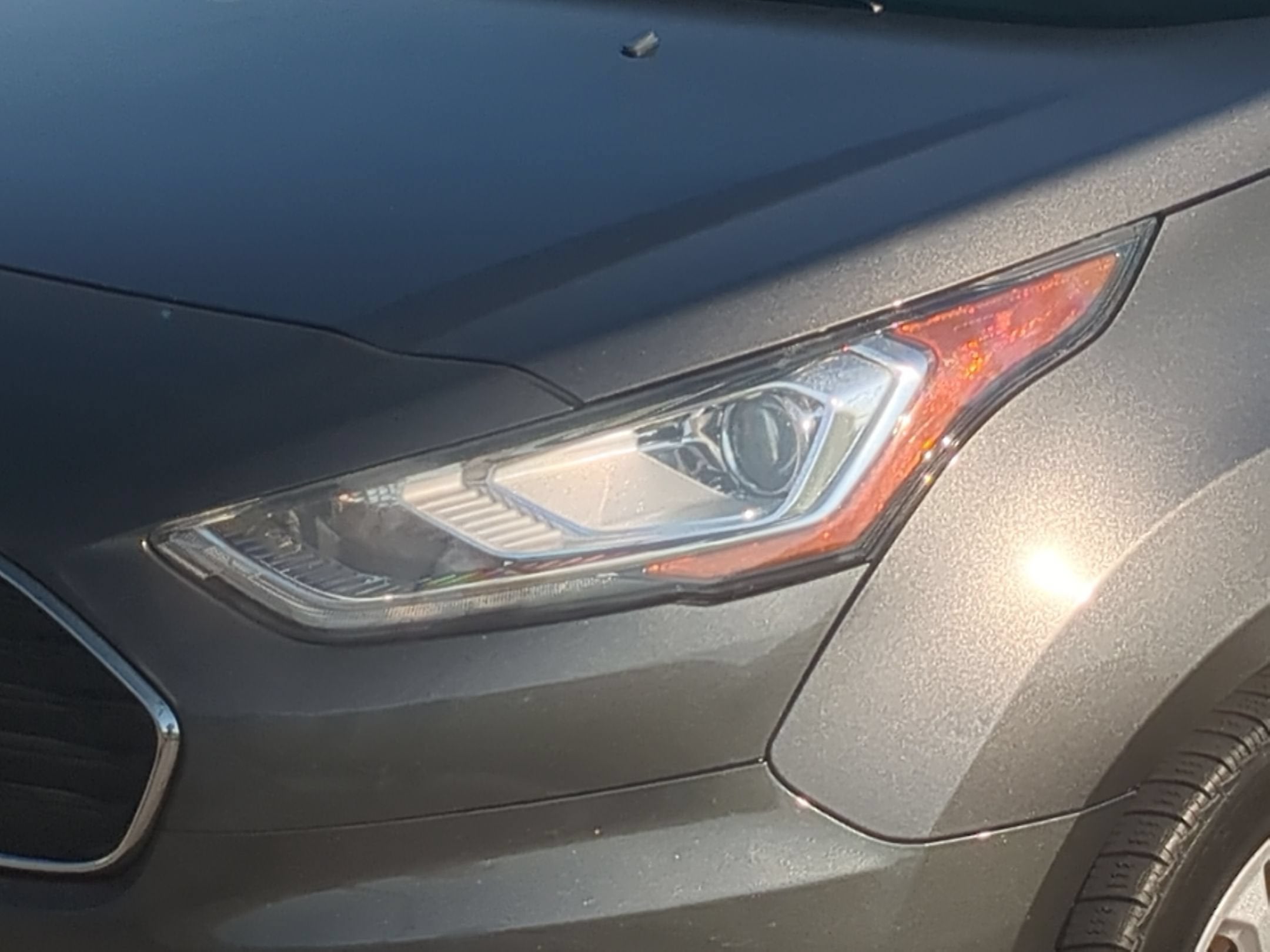 2019 Ford Transit Connect Wagon XLT