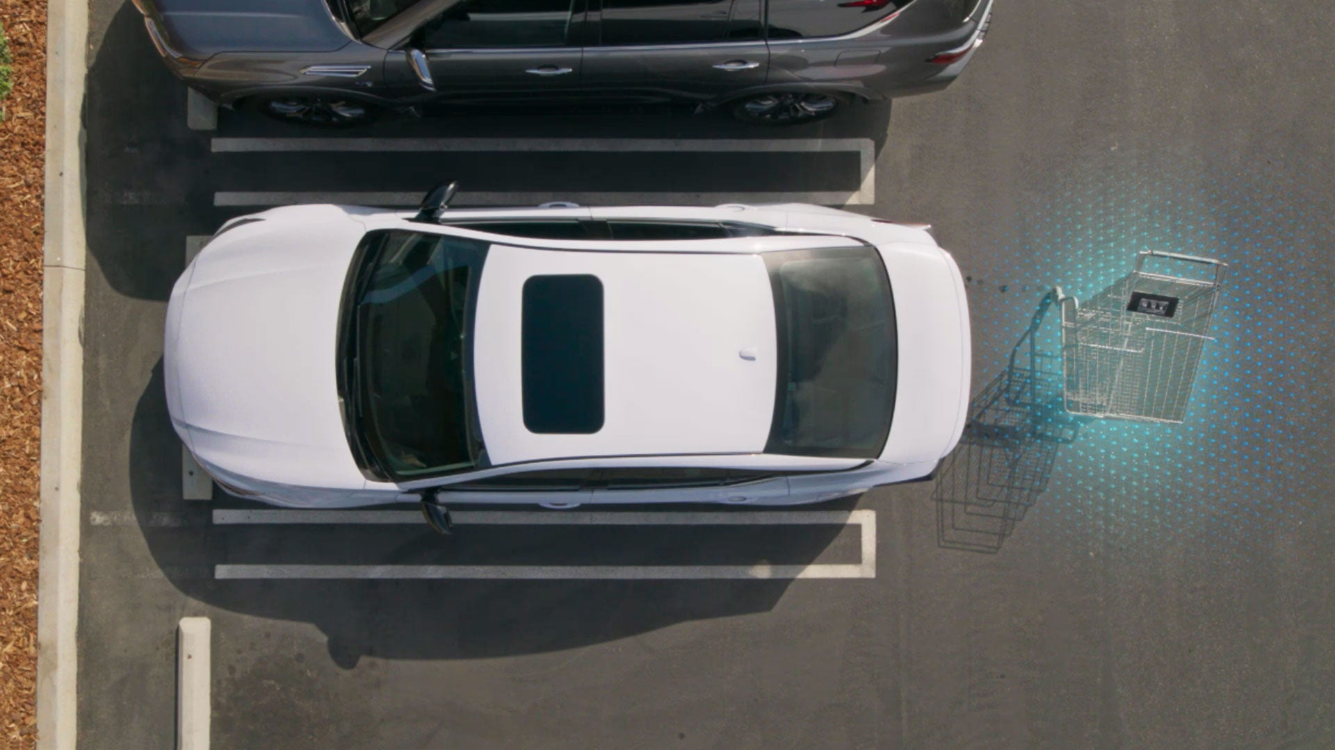 2026 Nissan Altima | Nissan of Rocky Mount in Rocky Mount, NC